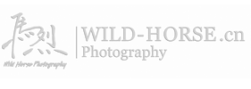 WildHorse Photography&#39340;&#28872;&#25668;&#24433;